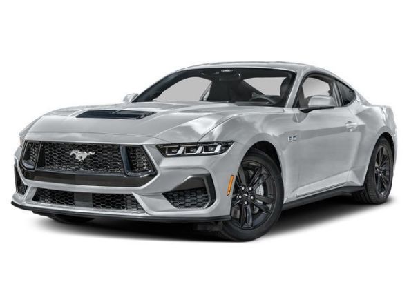 Mustang 1.jpg