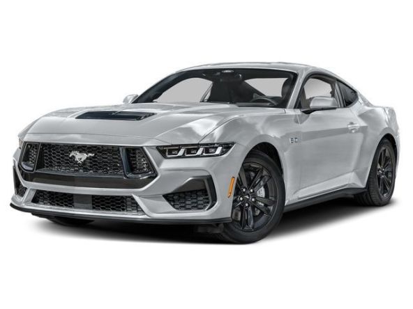 Mustang 1.jpg